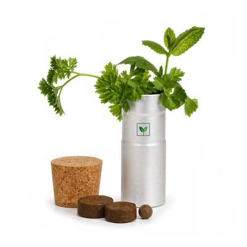 Bureautuintje met kruiden - Afbeelding 1